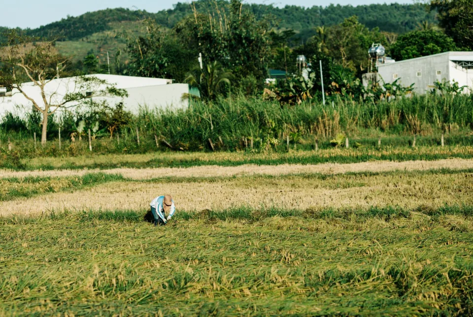 Kho gạo của Khai Thác Đánh Bắt Thủy Hải Sản